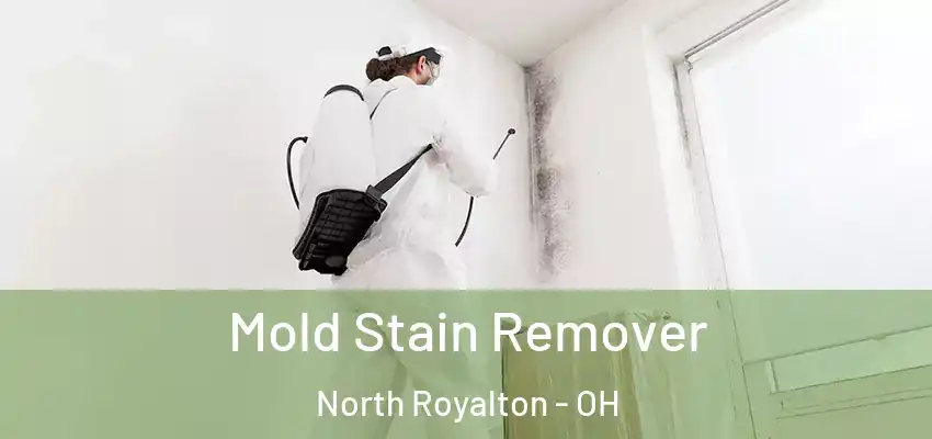 Mold Stain Remover North Royalton - OH