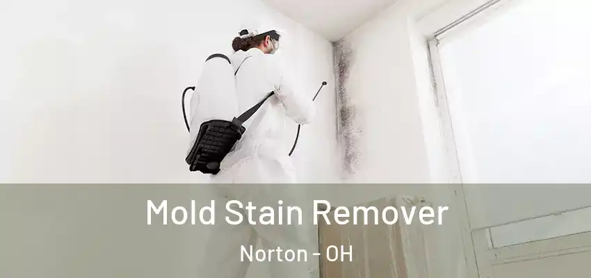  Mold Stain Remover Norton - OH