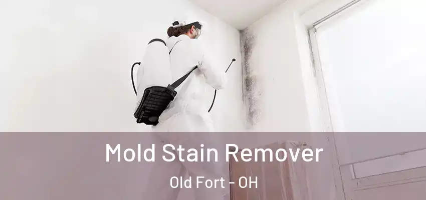 Mold Stain Remover Old Fort - OH