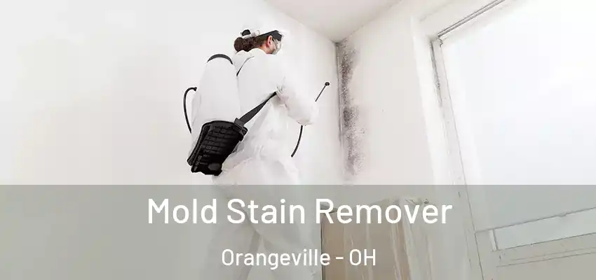 Mold Stain Remover Orangeville - OH