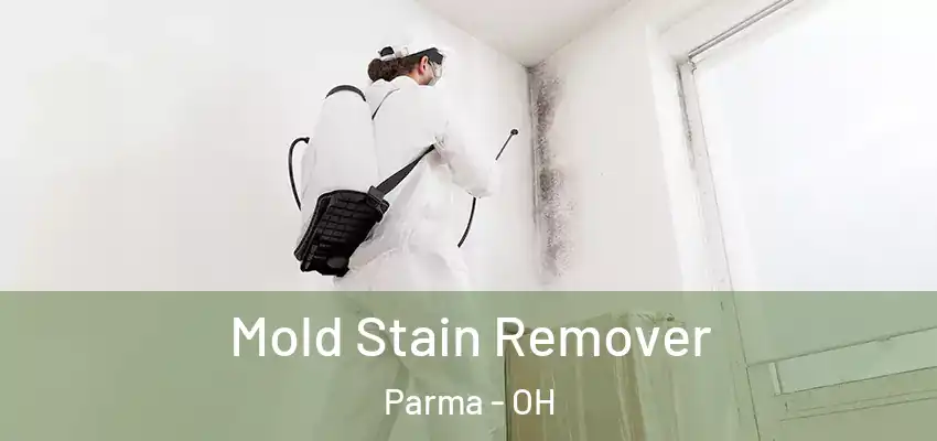 Mold Stain Remover Parma - OH