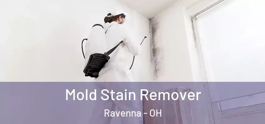 Mold Stain Remover Ravenna - OH