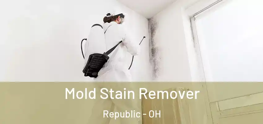 Mold Stain Remover Republic - OH