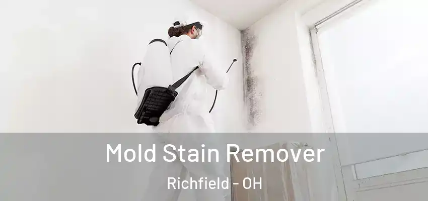  Mold Stain Remover Richfield - OH