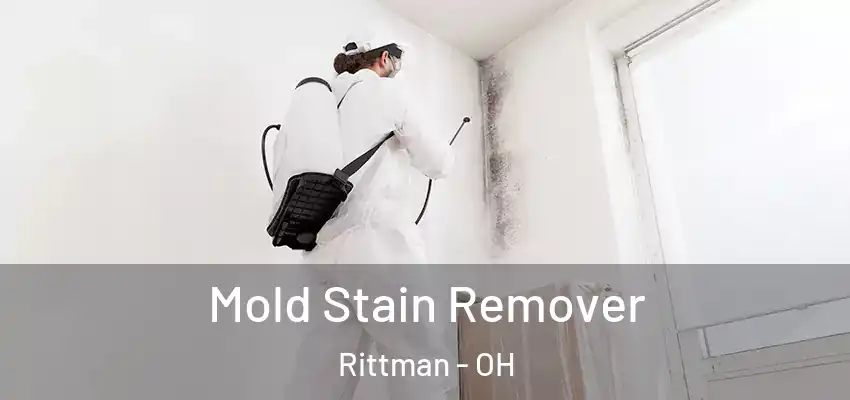  Mold Stain Remover Rittman - OH