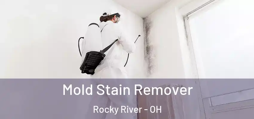 Mold Stain Remover Rocky River - OH