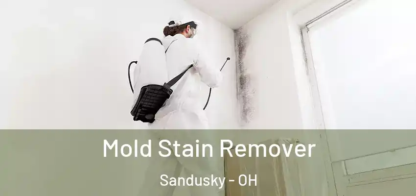 Mold Stain Remover Sandusky - OH