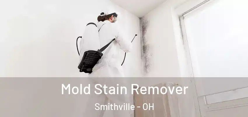 Mold Stain Remover Smithville - OH