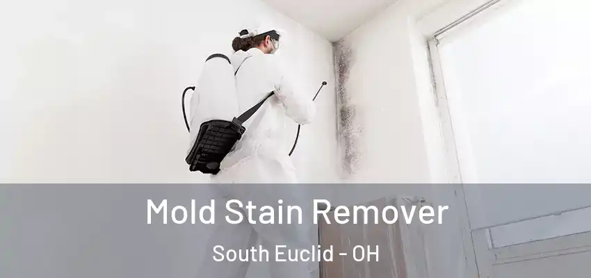 Mold Stain Remover South Euclid - OH