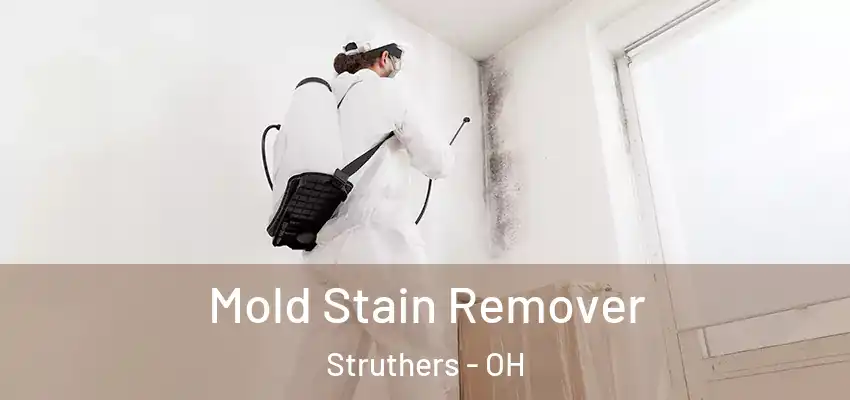  Mold Stain Remover Struthers - OH