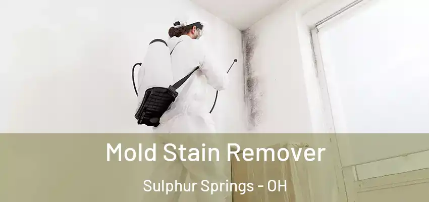  Mold Stain Remover Sulphur Springs - OH