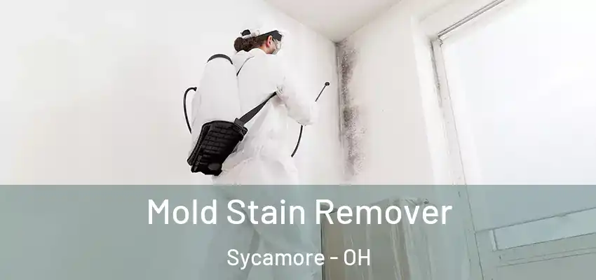  Mold Stain Remover Sycamore - OH