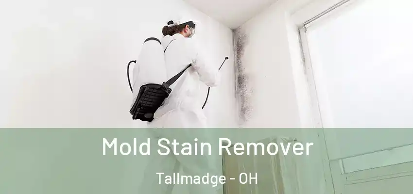 Mold Stain Remover Tallmadge - OH