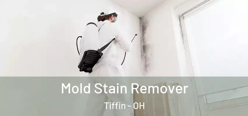  Mold Stain Remover Tiffin - OH