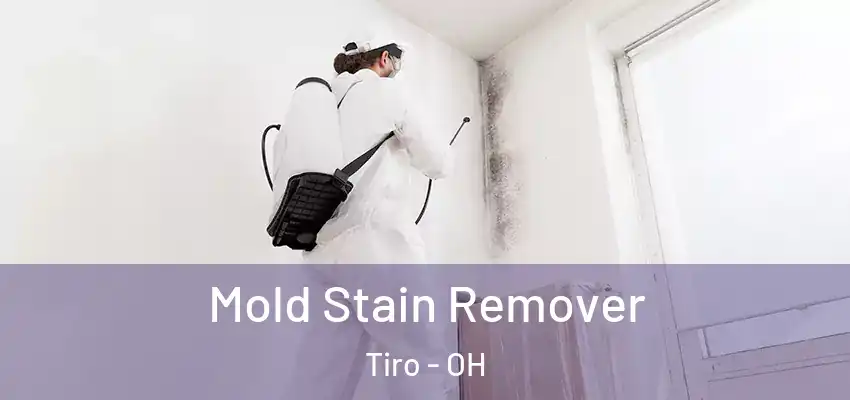 Mold Stain Remover Tiro - OH