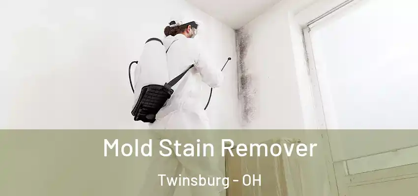 Mold Stain Remover Twinsburg - OH