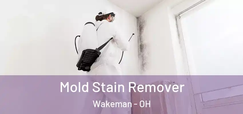 Mold Stain Remover Wakeman - OH