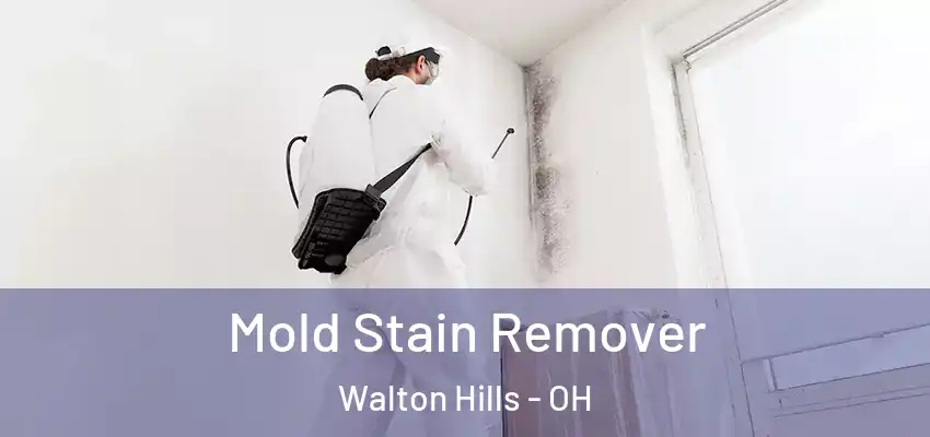 Mold Stain Remover Walton Hills - OH