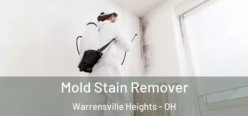 Mold Stain Remover Warrensville Heights - OH