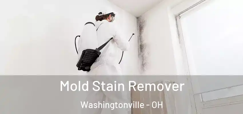  Mold Stain Remover Washingtonville - OH