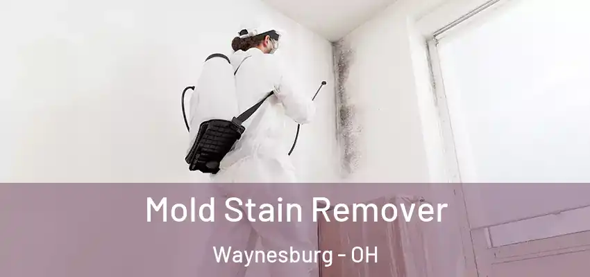  Mold Stain Remover Waynesburg - OH