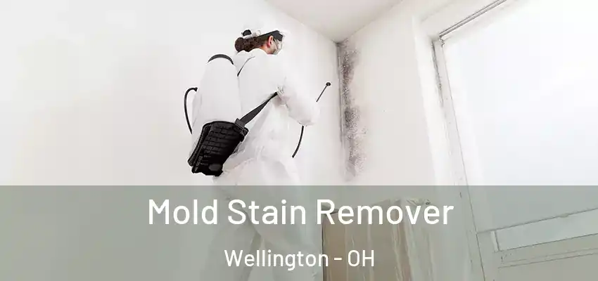 Mold Stain Remover Wellington - OH
