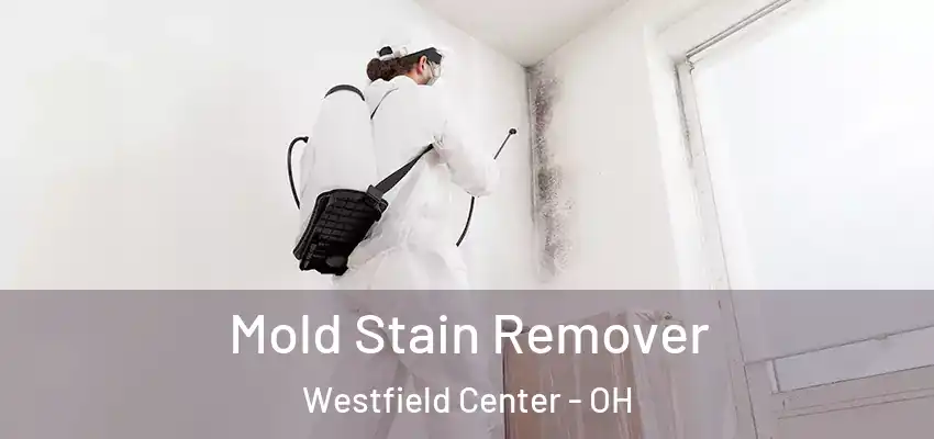 Mold Stain Remover Westfield Center - OH
