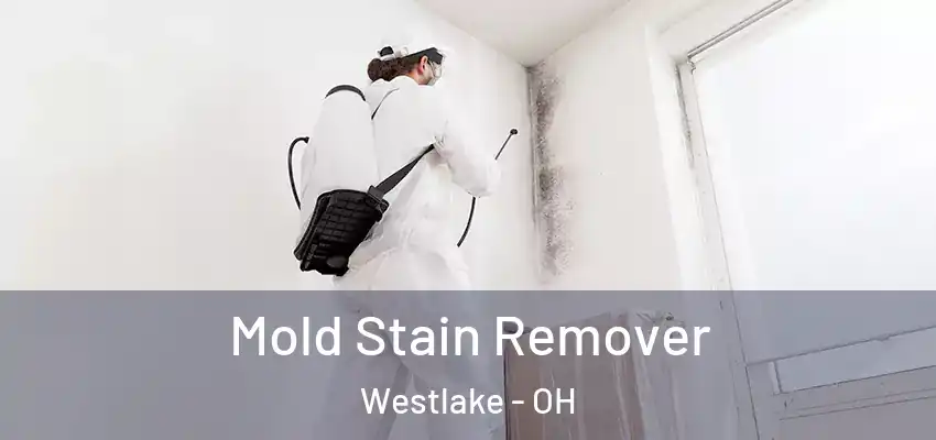 Mold Stain Remover Westlake - OH