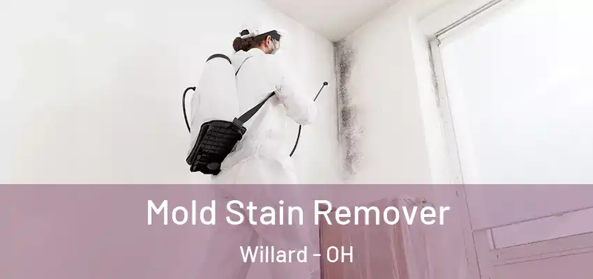 Mold Stain Remover Willard - OH