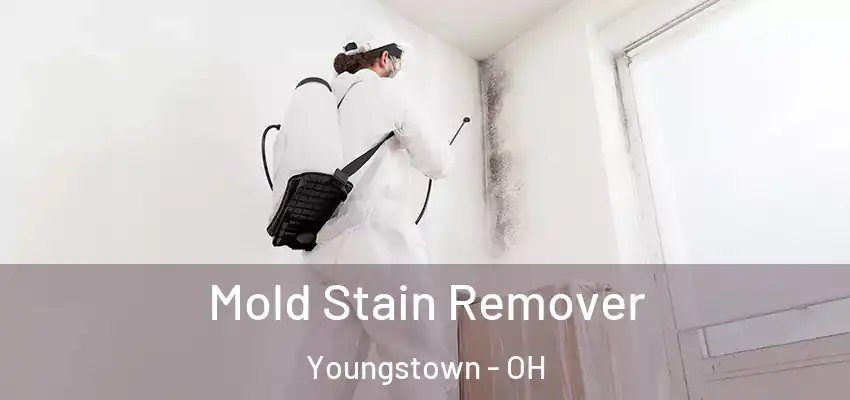 Mold Stain Remover Youngstown - OH