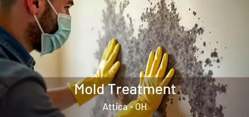 Mold Treatment Attica - OH