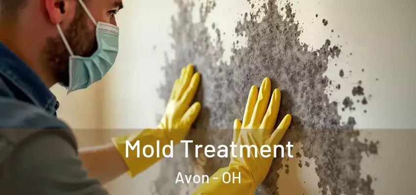 Mold Treatment Avon - OH