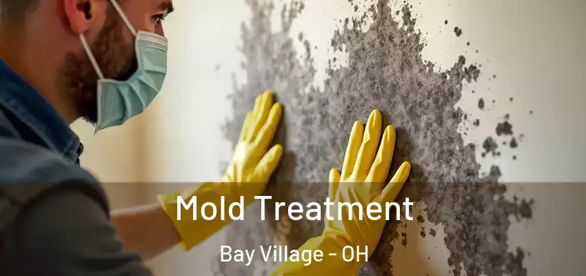  Mold Treatment Bay Village - OH