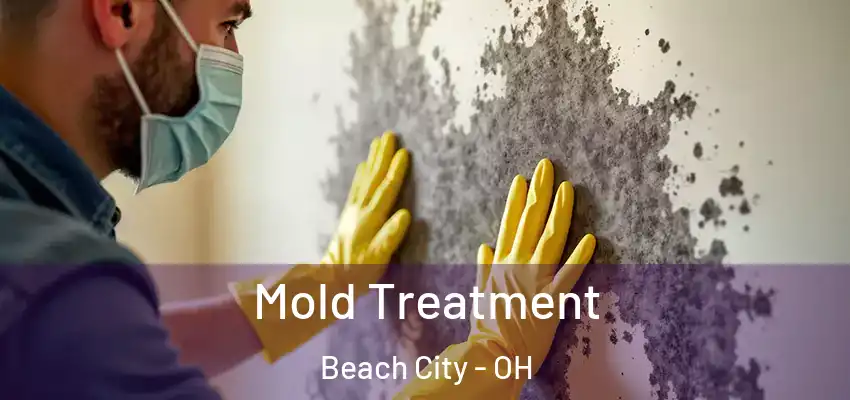 Mold Treatment Beach City - OH