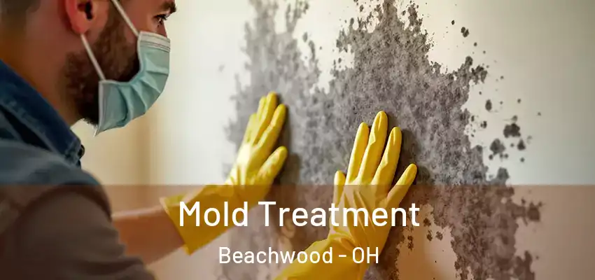 Mold Treatment Beachwood - OH