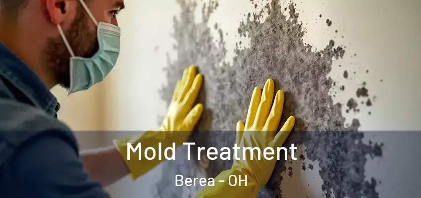 Mold Treatment Berea - OH