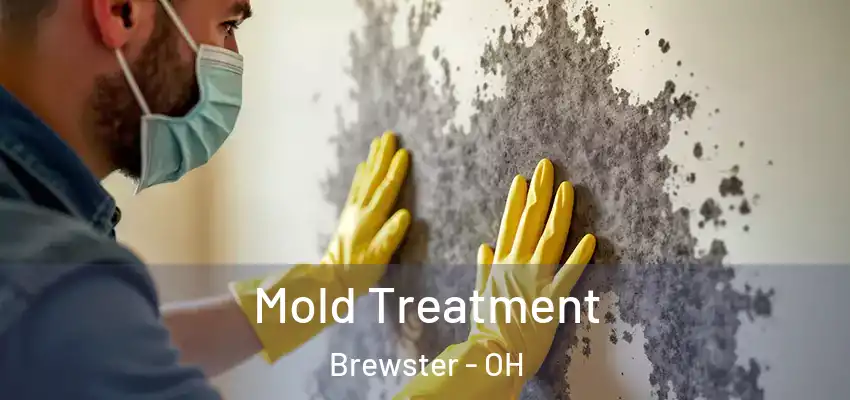 Mold Treatment Brewster - OH