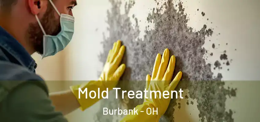 Mold Treatment Burbank - OH