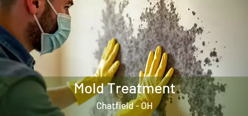 Mold Treatment Chatfield - OH