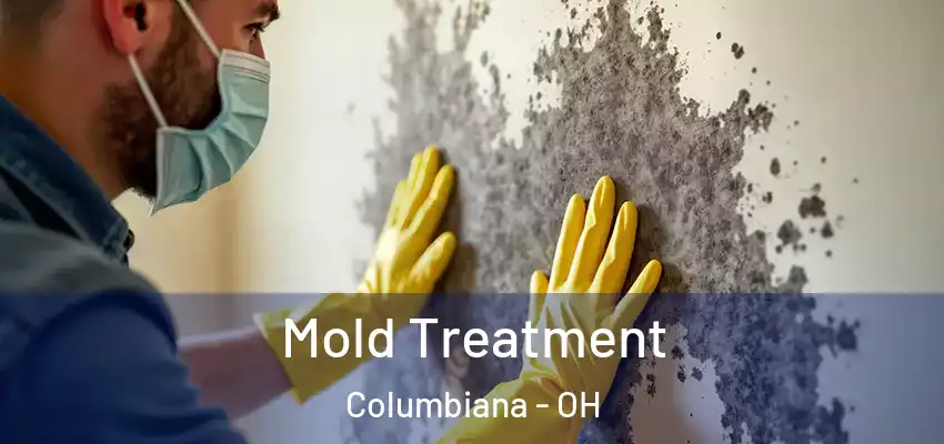  Mold Treatment Columbiana - OH