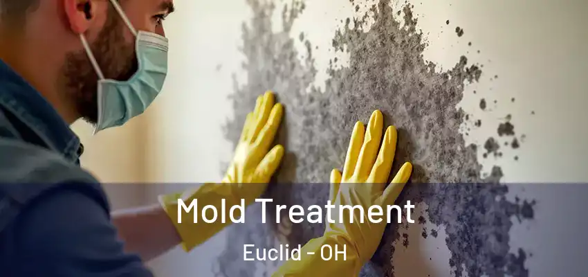  Mold Treatment Euclid - OH
