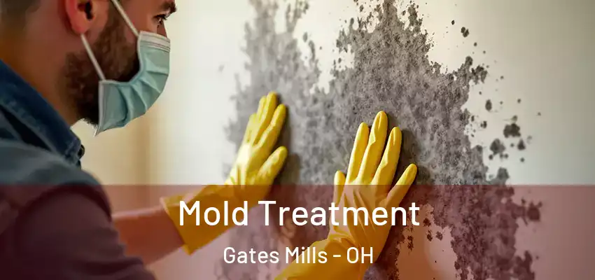 Mold Treatment Gates Mills - OH