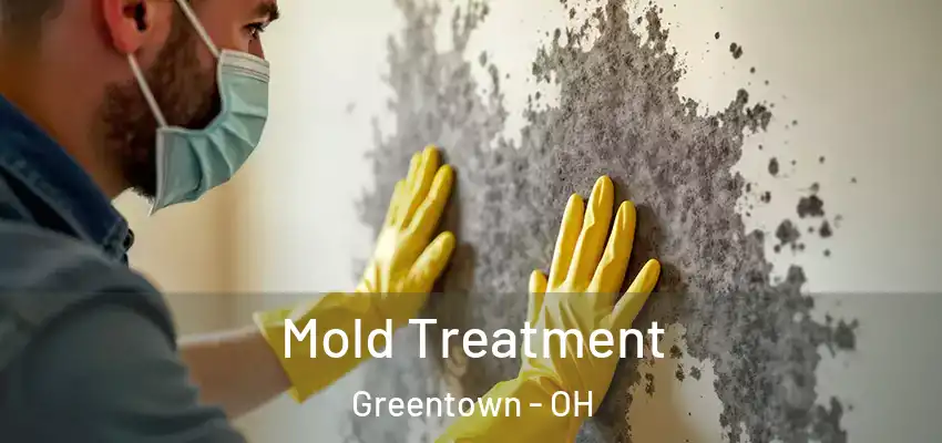Mold Treatment Greentown - OH