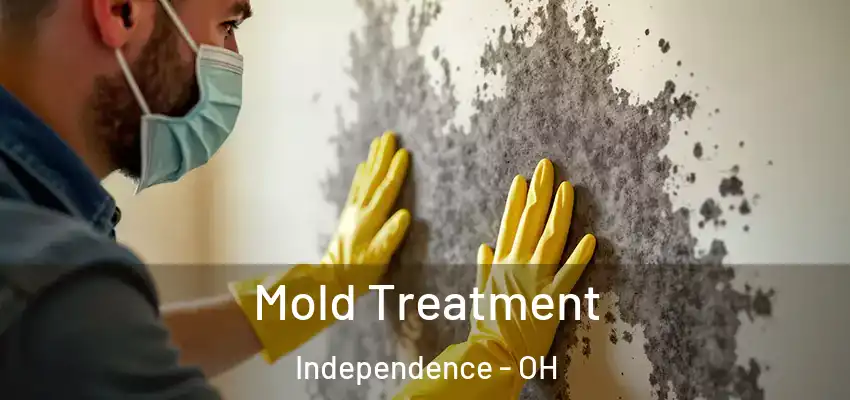  Mold Treatment Independence - OH