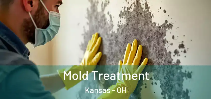  Mold Treatment Kansas - OH
