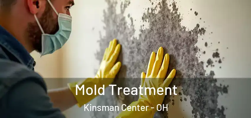  Mold Treatment Kinsman Center - OH