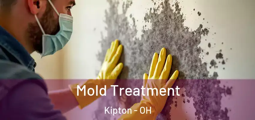 Mold Treatment Kipton - OH