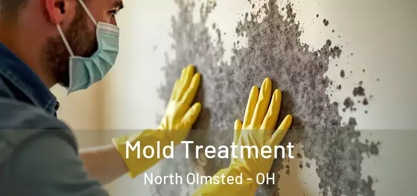  Mold Treatment North Olmsted - OH