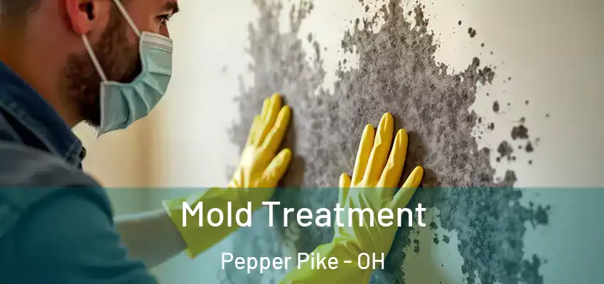 Mold Treatment Pepper Pike - OH