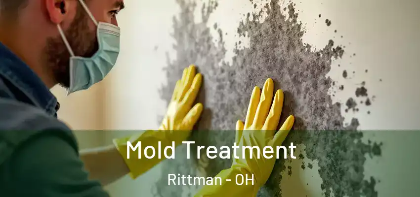 Mold Treatment Rittman - OH